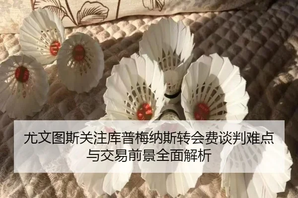 尤文图斯关注库普梅纳斯转会费谈判难点与交易前景全面解析